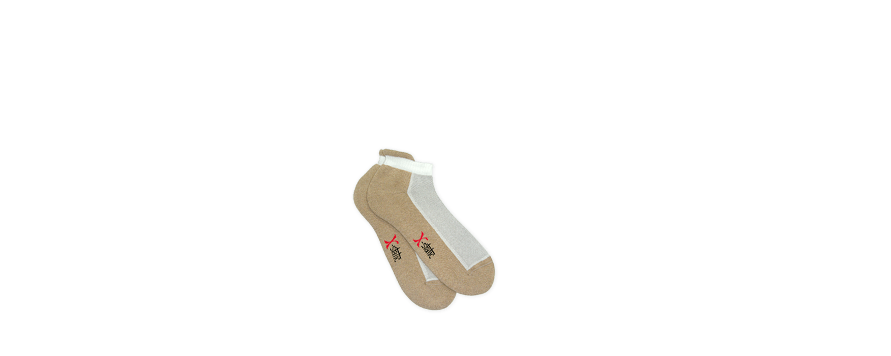 TrainerSock 1